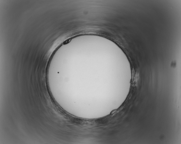 X0000116330099200912221428