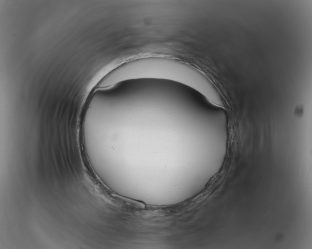 X0000116330100200912221428