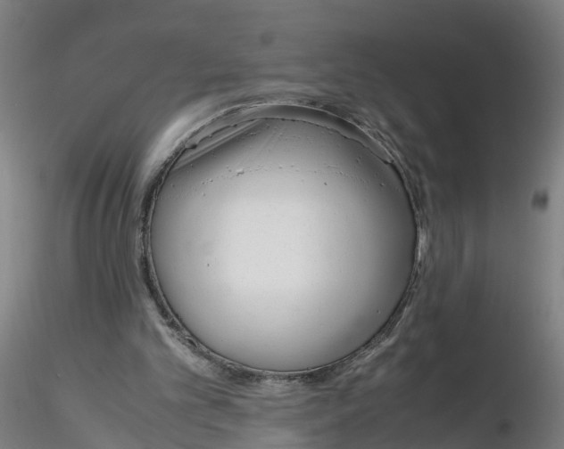 X0000116330101200912221428