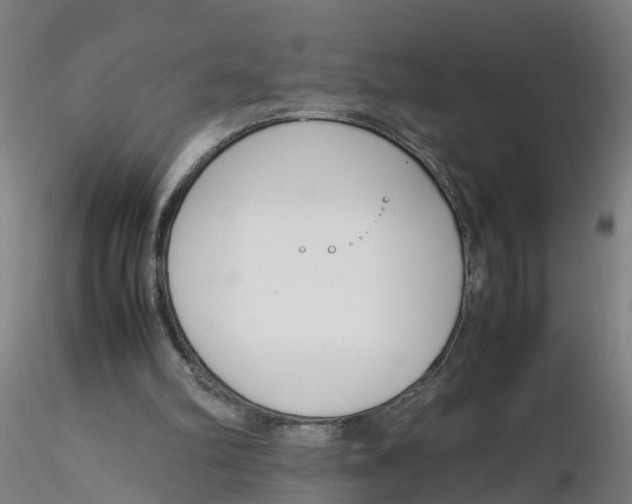 X0000116330102200912221428