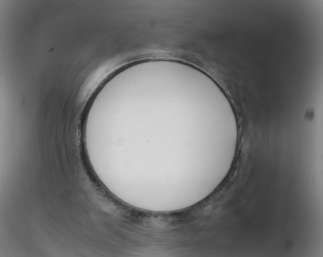 X0000116330103200912221428