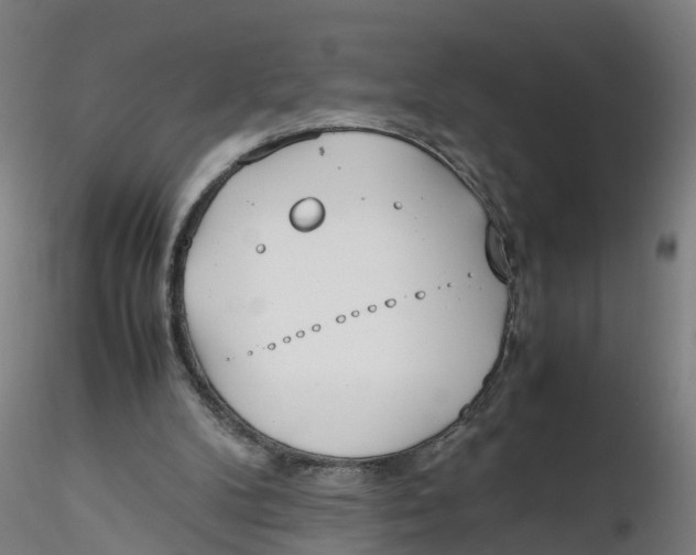 X0000116330104200912221428