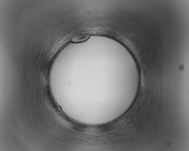 X0000116330105200912221428