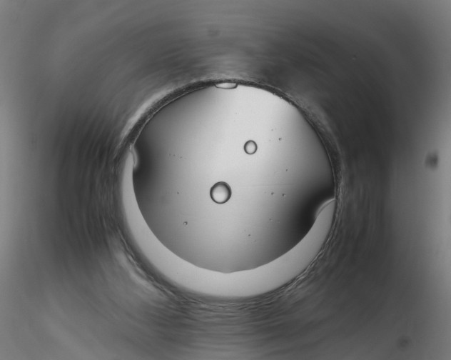 X0000116330108200912221428