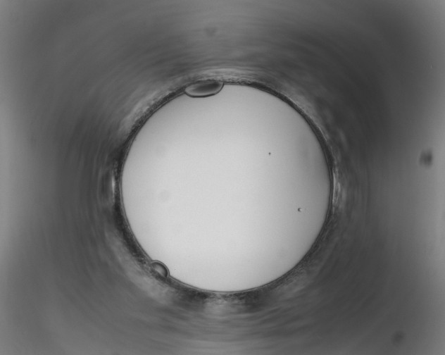 X0000116330109200912221428