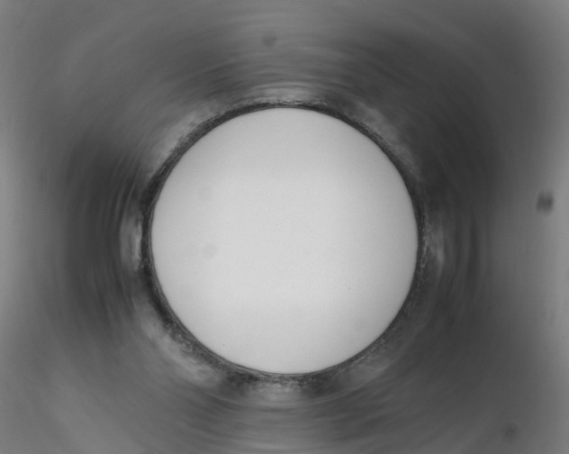 X0000116330110200912221428