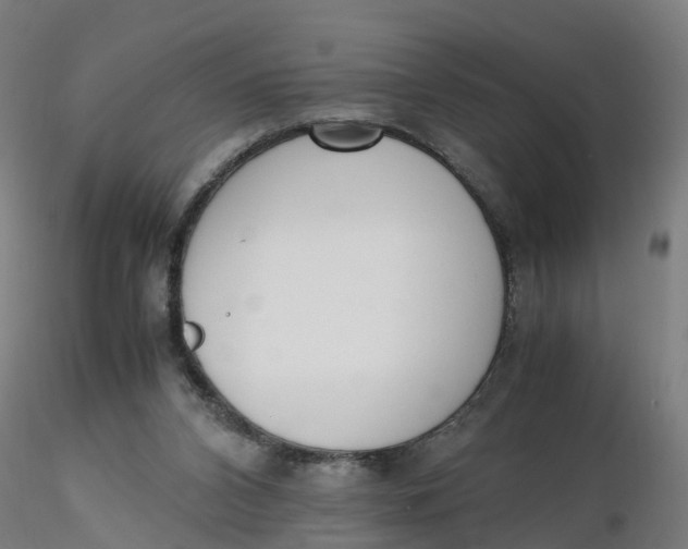 X0000116330112200912221428