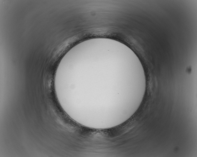 X0000116330115200912221428