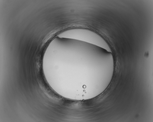 X0000116330116200912221428