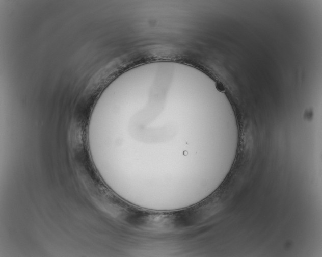 X0000116330117200912221428