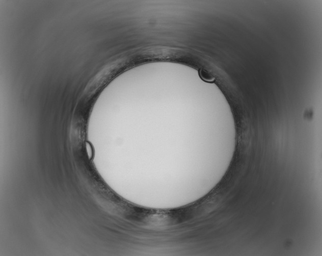 X0000116330119200912221428