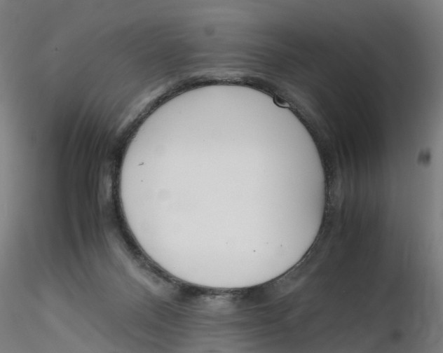 X0000116330120200912221428