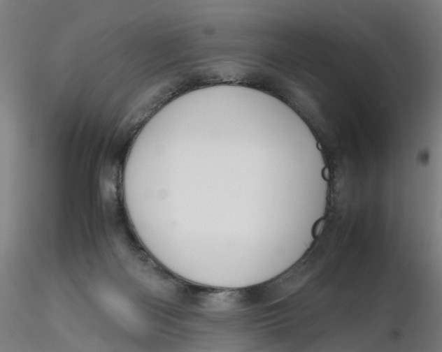 X0000116330122200912221428