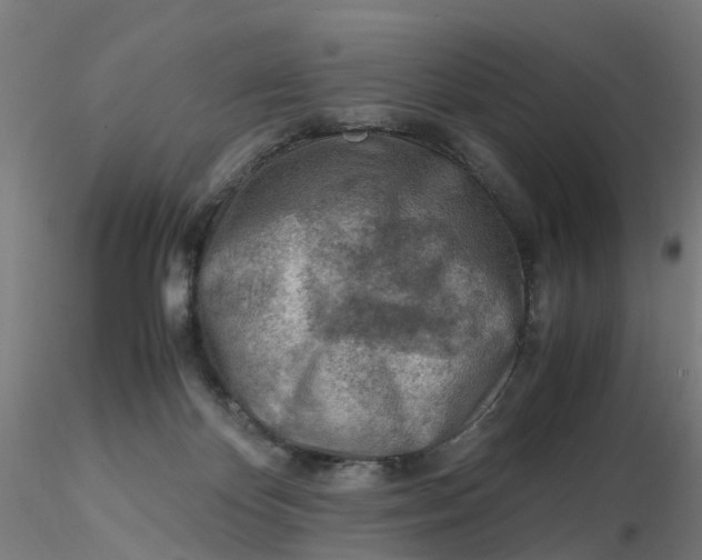 X0000116330124200912221428