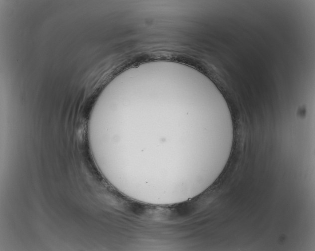 X0000116330125200912221428