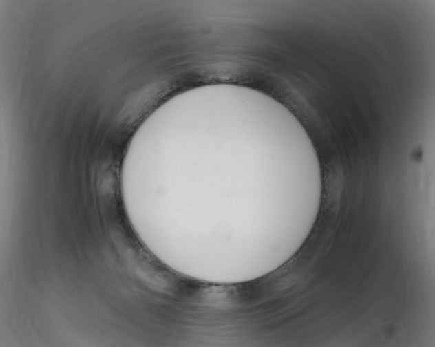 X0000116330126200912221428