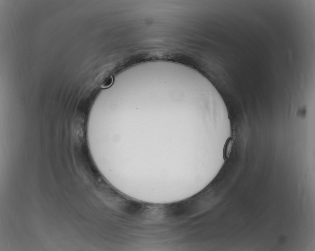 X0000116330127200912221428