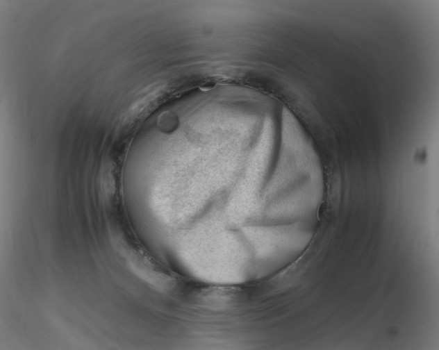 X0000116330128200912221428