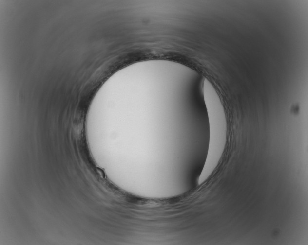 X0000116330129200912221428