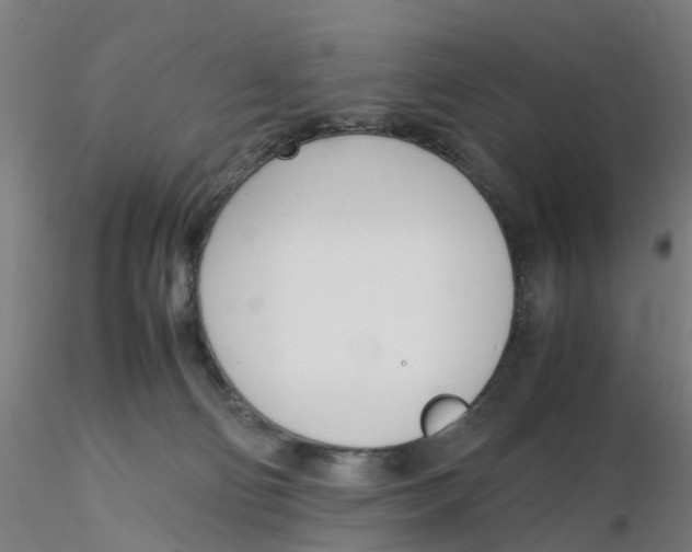 X0000116330130200912221428