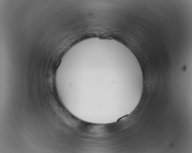 X0000116330132200912221428