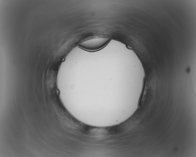 X0000116330133200912221428