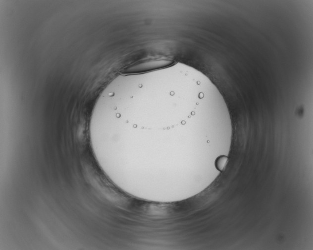 X0000116330134200912221428