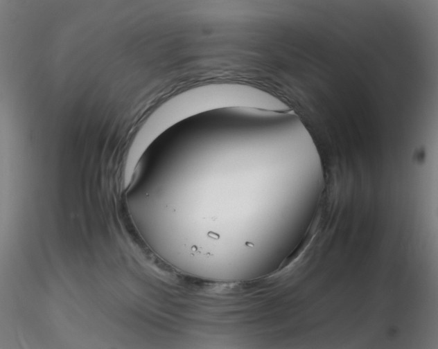 X0000116330136200912221428