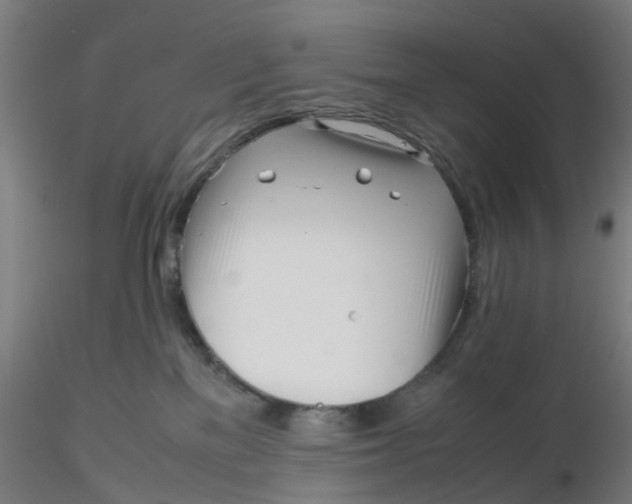 X0000116330137200912221428