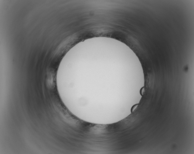 X0000116330138200912221428