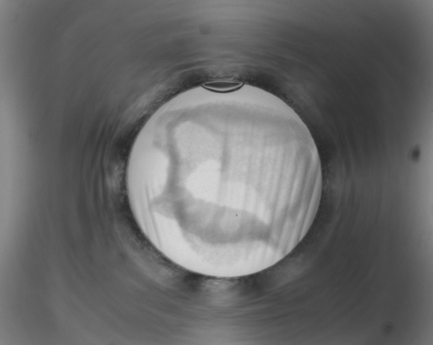 X0000116330139200912221428