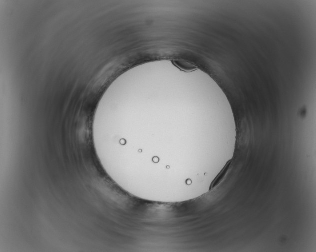 X0000116330140200912221428