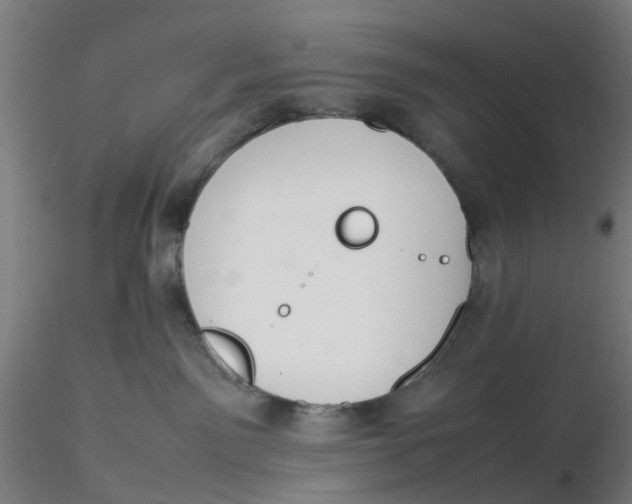 X0000116330141200912221428