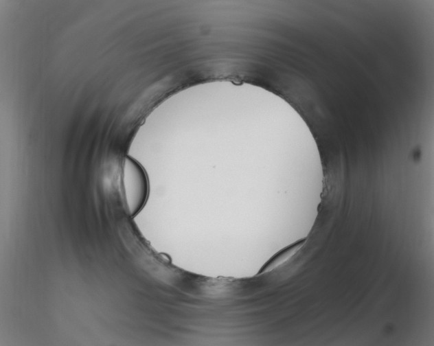 X0000116330142200912221428