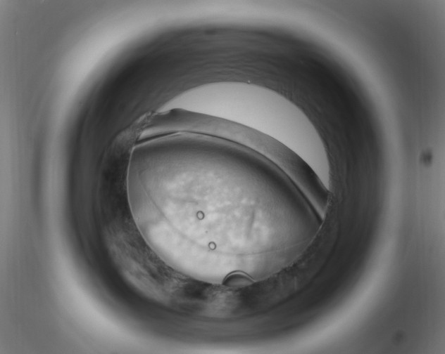 X0000116330143200912221428