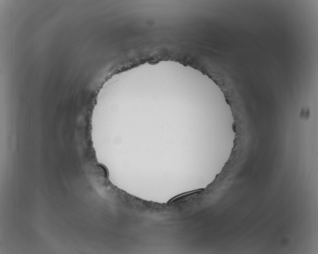 X0000116330144200912221428