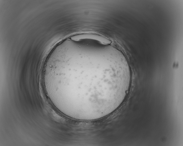 X0000116330145200912221427