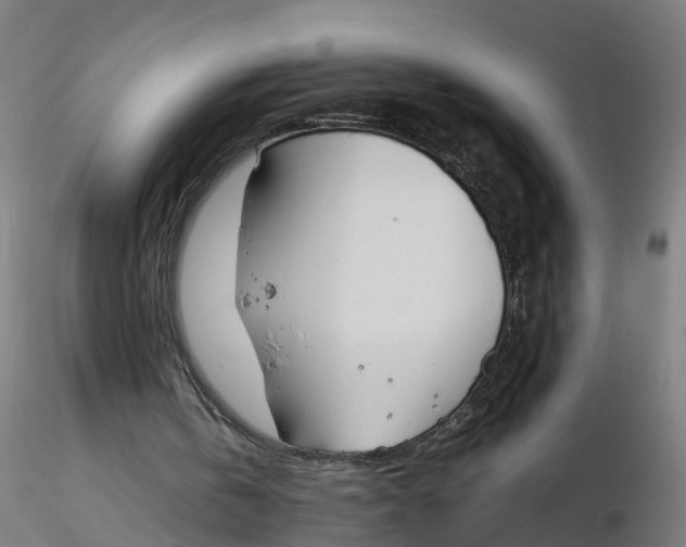 X0000116330146200912221427