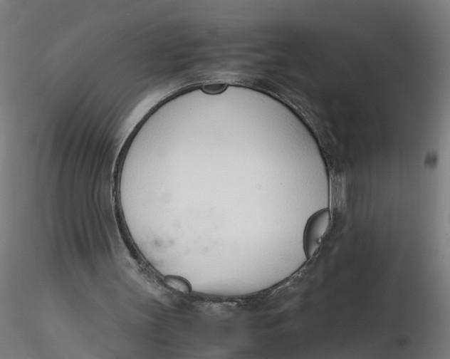 X0000116330147200912221427