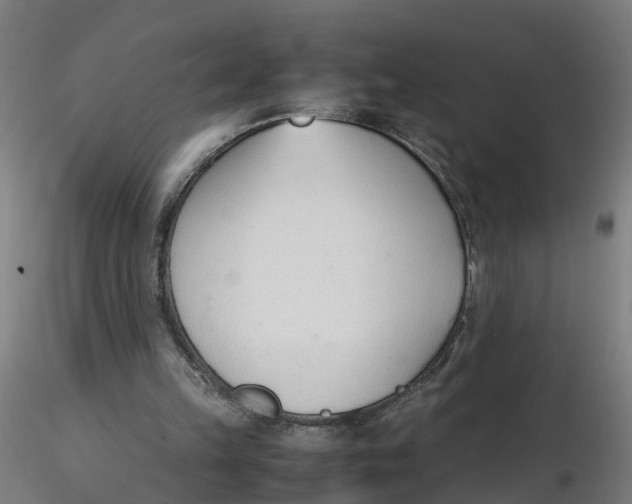 X0000116330149200912221427