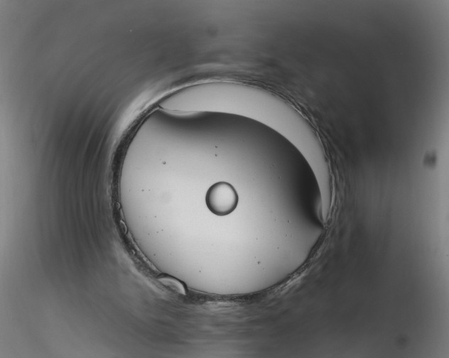 X0000116330150200912221427