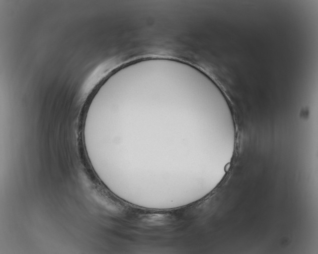 X0000116330151200912221427