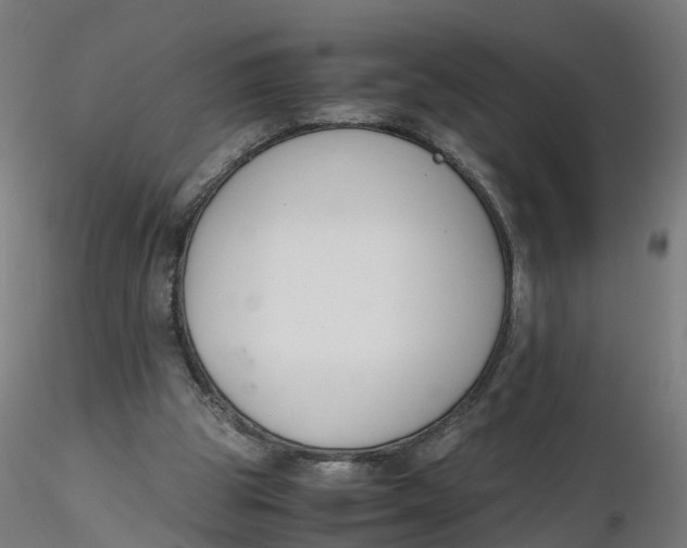 X0000116330153200912221427