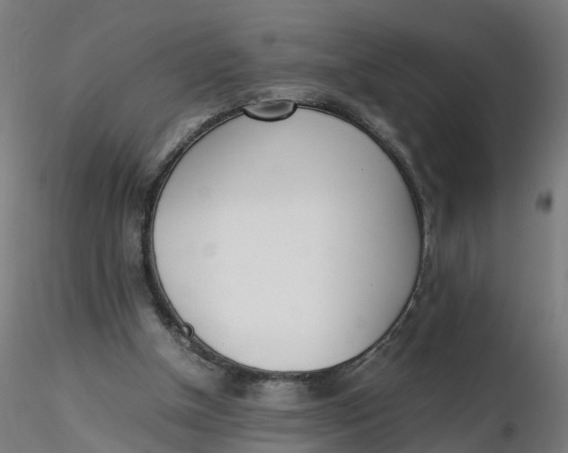 X0000116330154200912221427