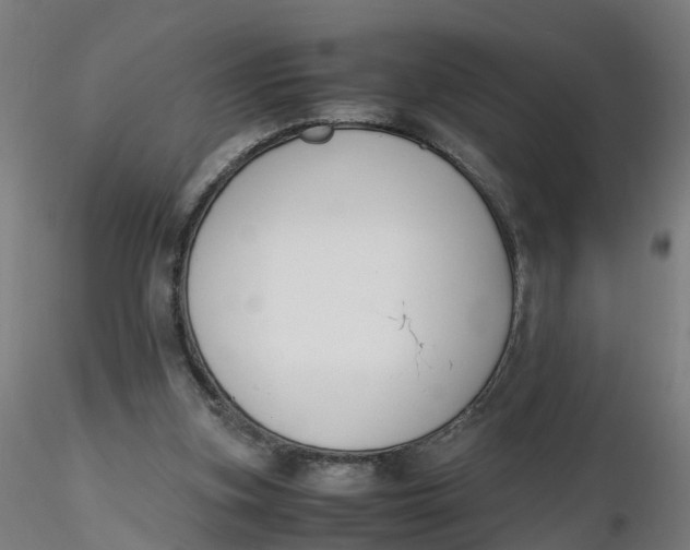 X0000116330155200912221427