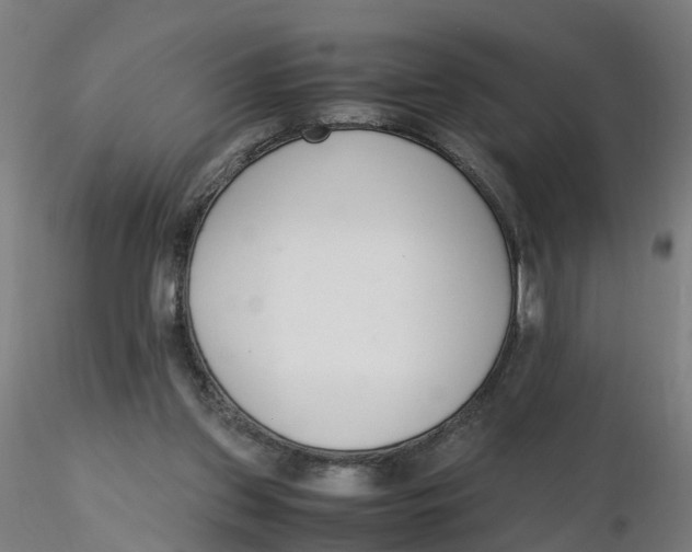 X0000116330157200912221427