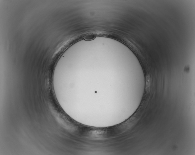 X0000116330158200912221427