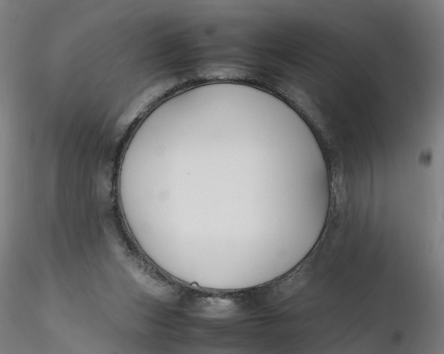 X0000116330159200912221427