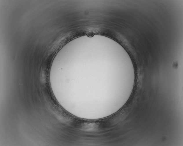 X0000116330161200912221427