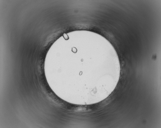 X0000116330162200912221427